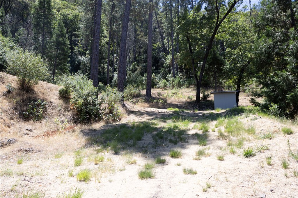 74 Lakeview Ridge