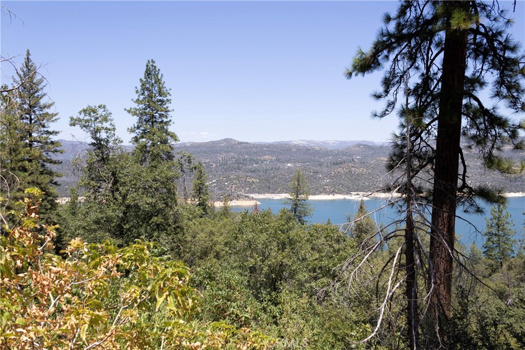 74 Lakeview Ridge