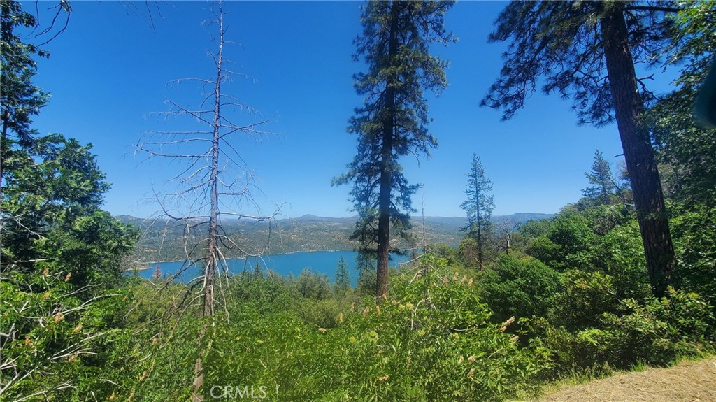 74 Lakeview Ridge