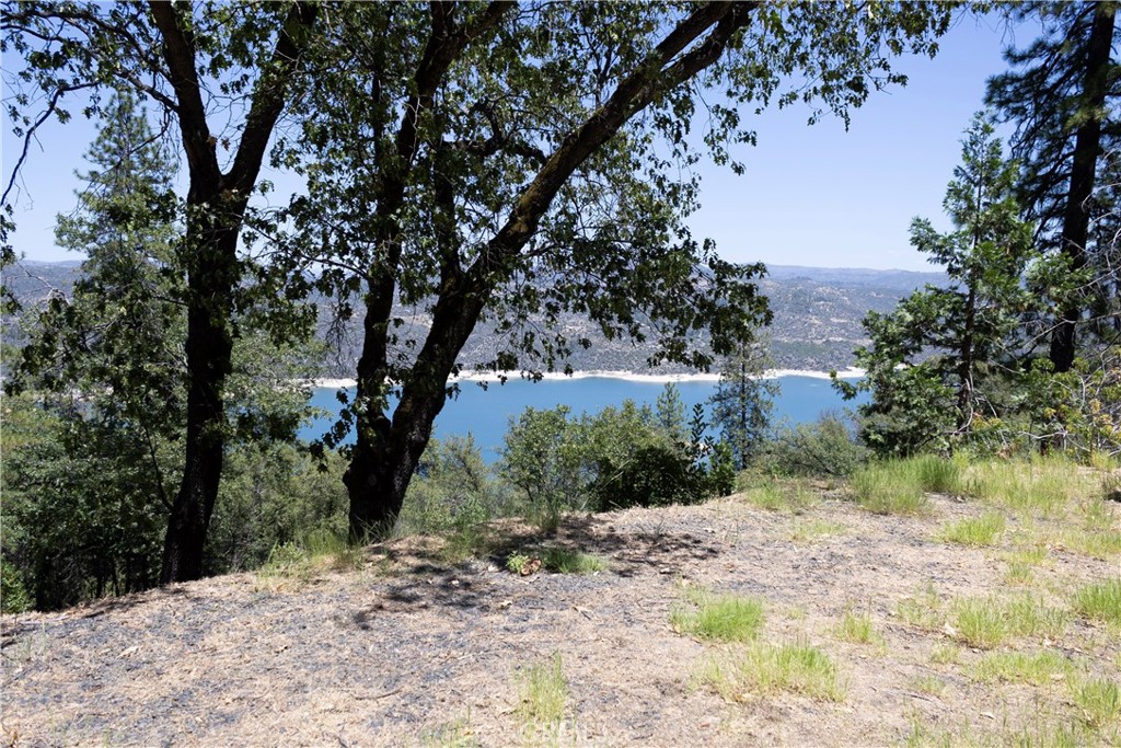 74 Lakeview Ridge