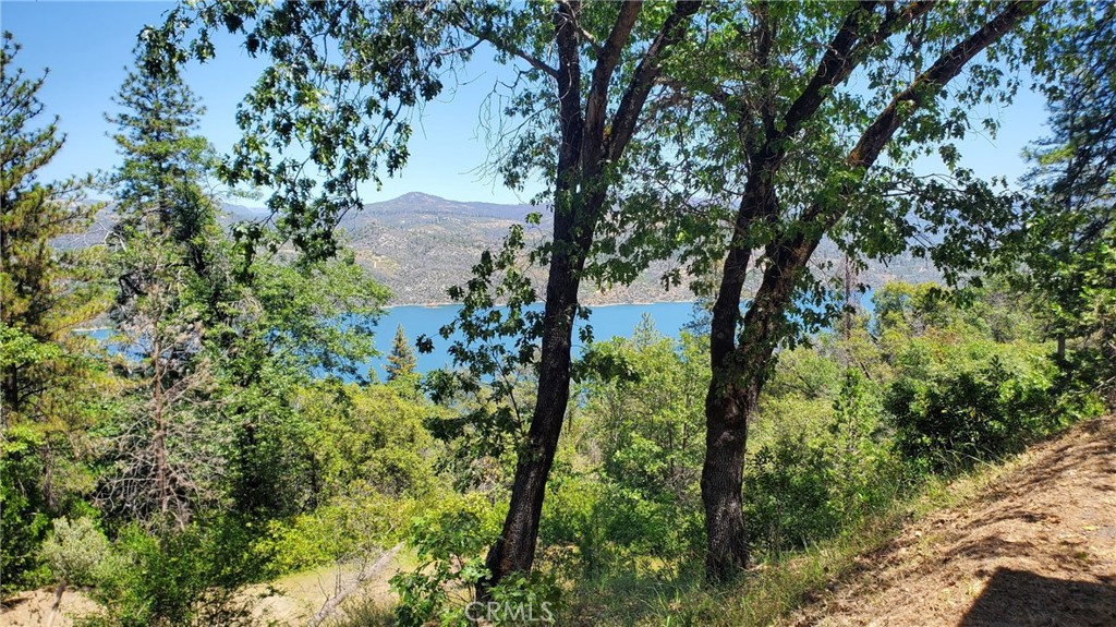 74 Lakeview Ridge