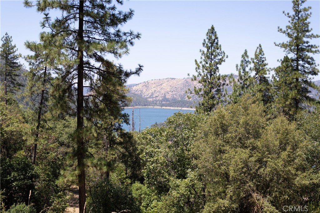 74 Lakeview Ridge