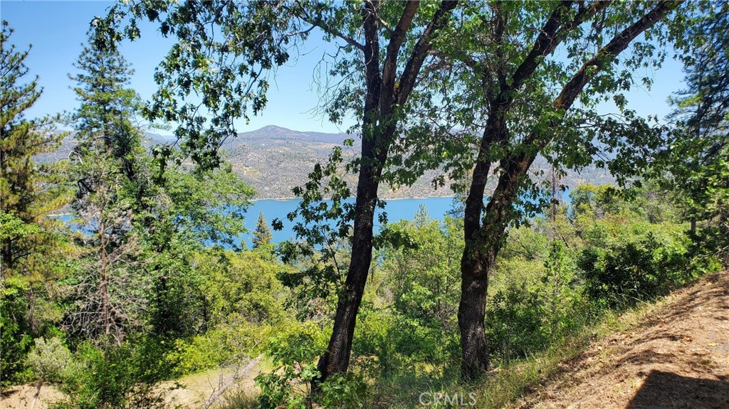 74 Lakeview Ridge