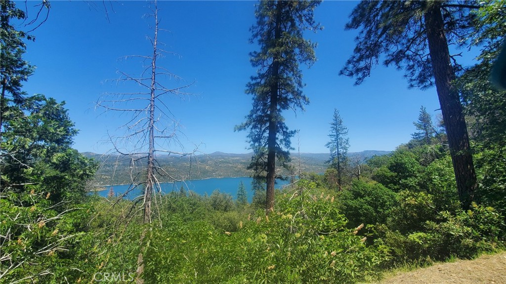 74 Lakeview Ridge