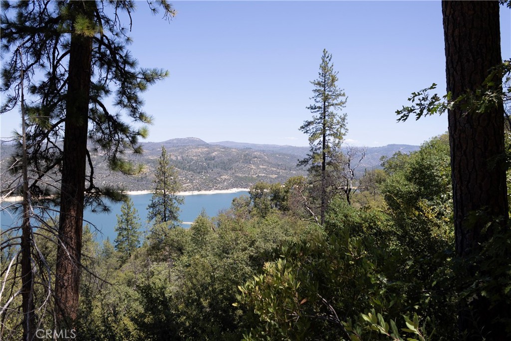 74 Lakeview Ridge