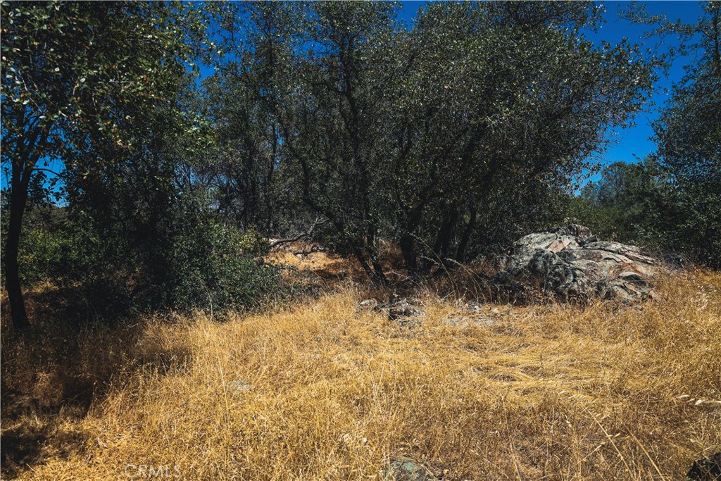 6070 Old Olive