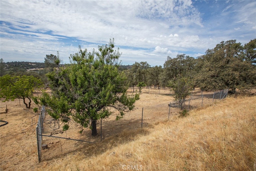 Fenced rural property with scattered trees and dry golden grass.