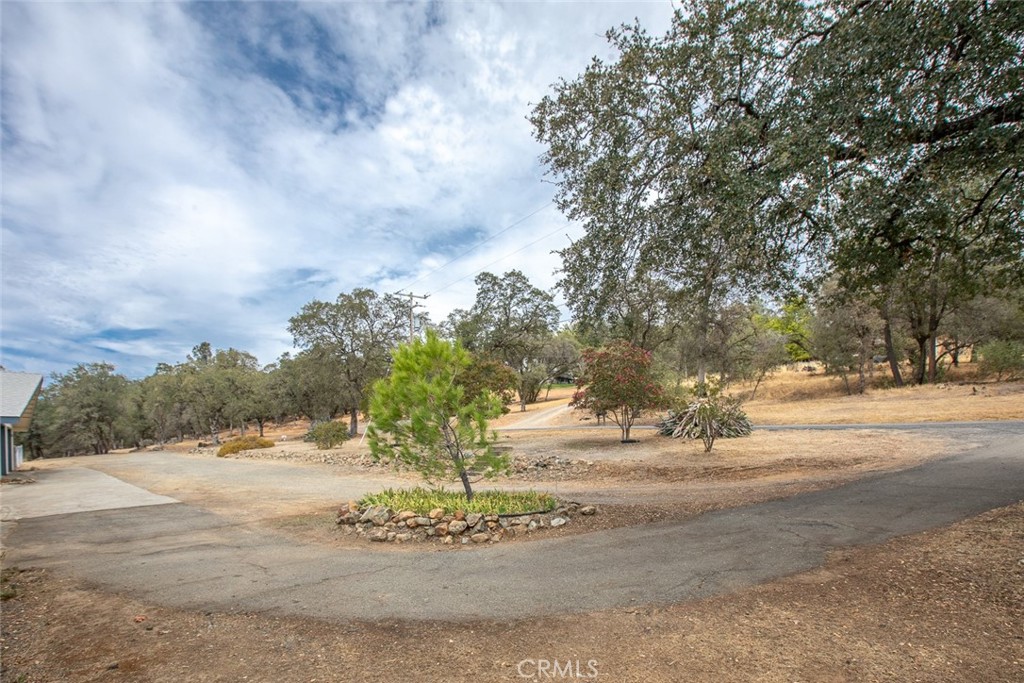 Paved driveway curves around a landscaped island among mature trees and dry grass.