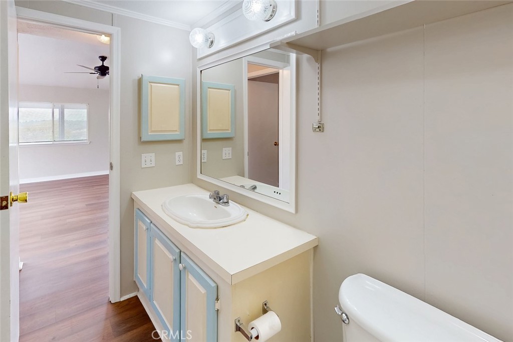 Bathroom vanity with pale blue-and-cream cabinets, large mirror, and partial view of a toilet.