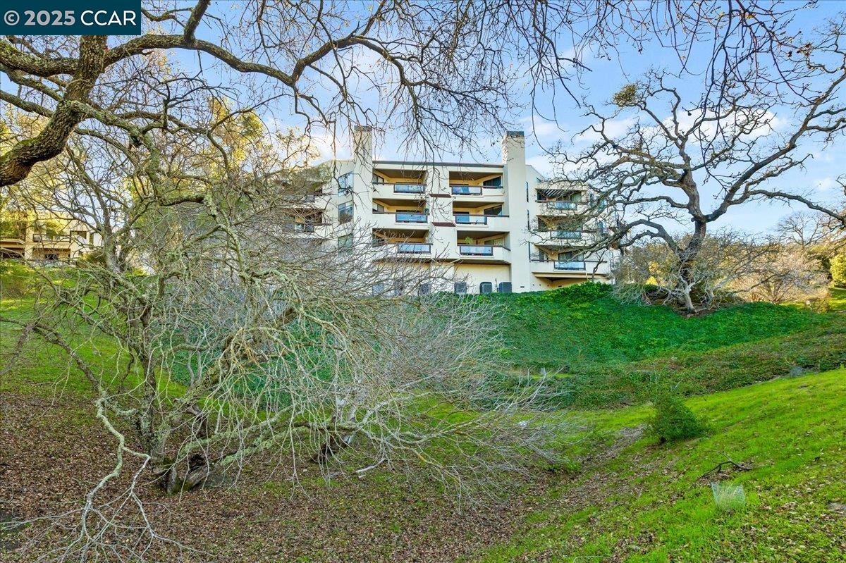 3711 Terra Granada # 1B Unit: #1B