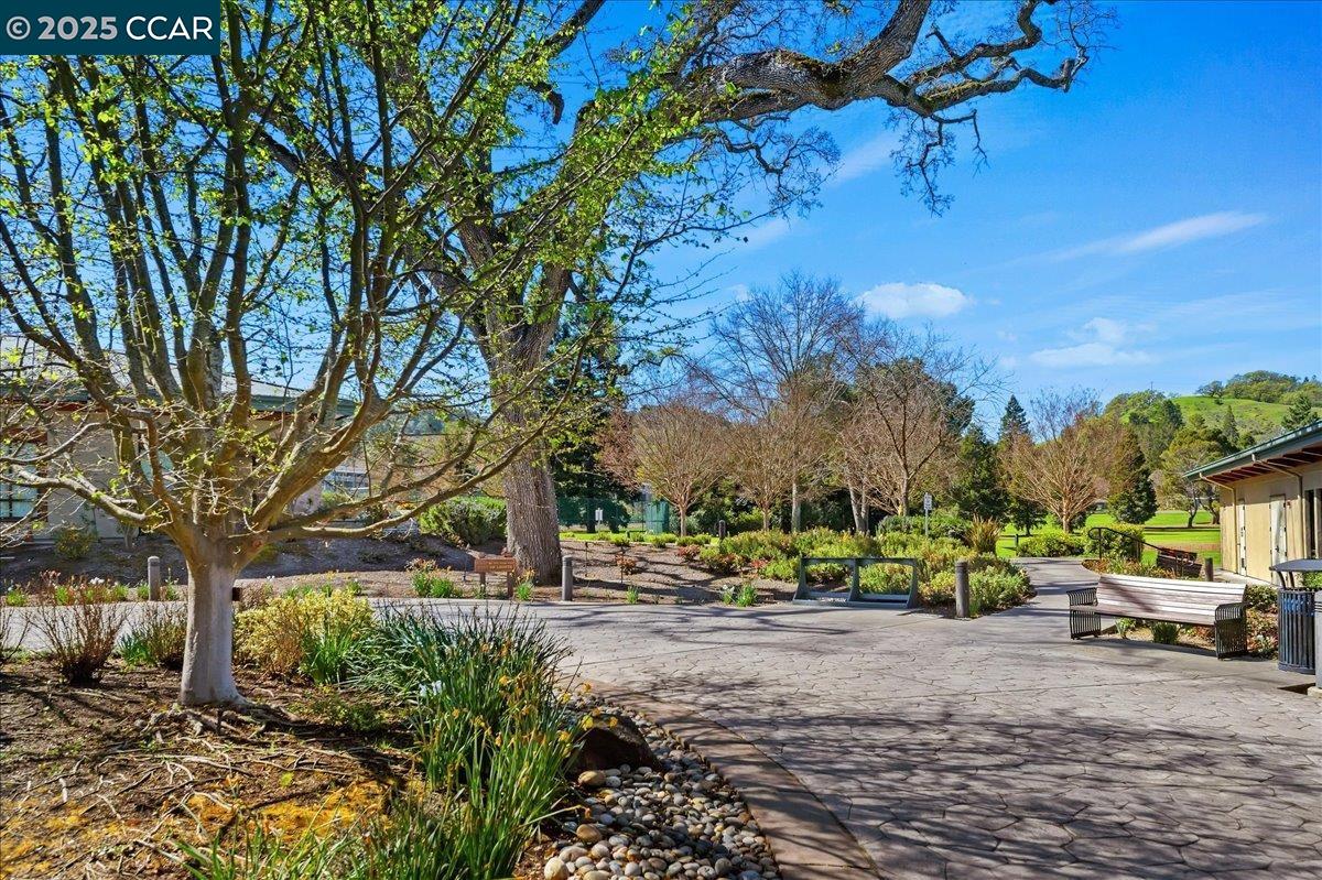 3711 Terra Granada # 1B Unit: #1B