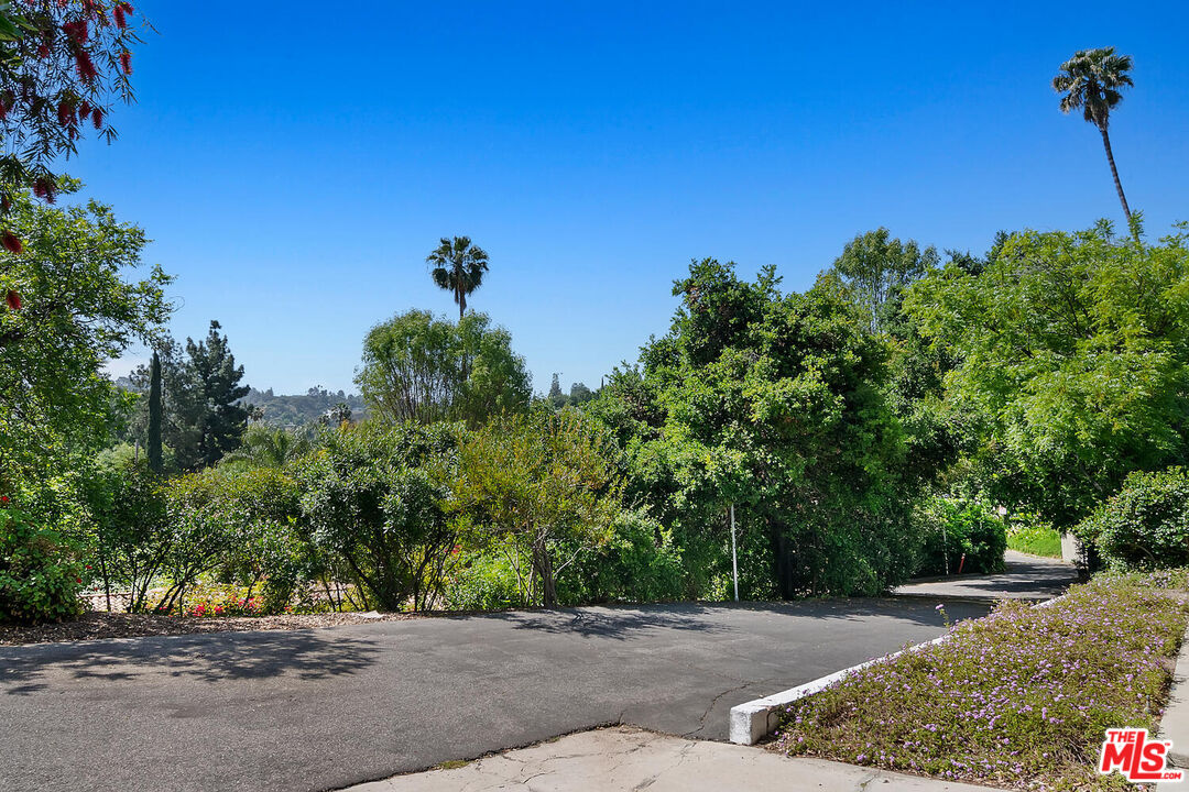4031 Deerhorn Dr