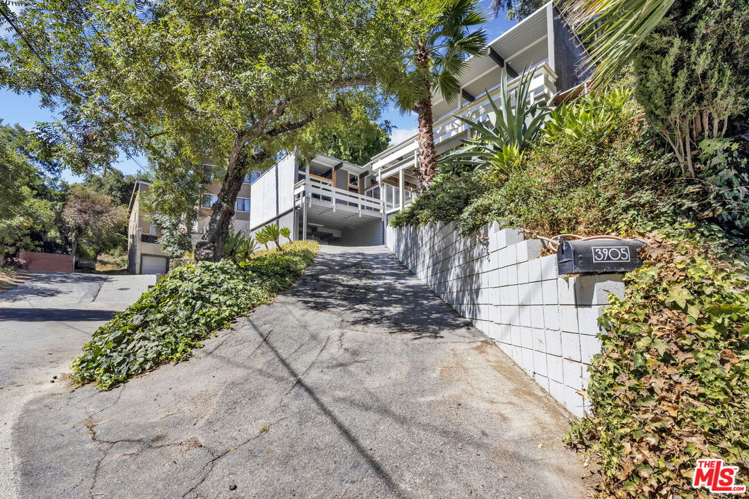 3905 Pacheco Dr