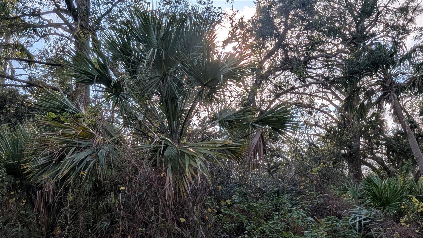 107 JUPER ST