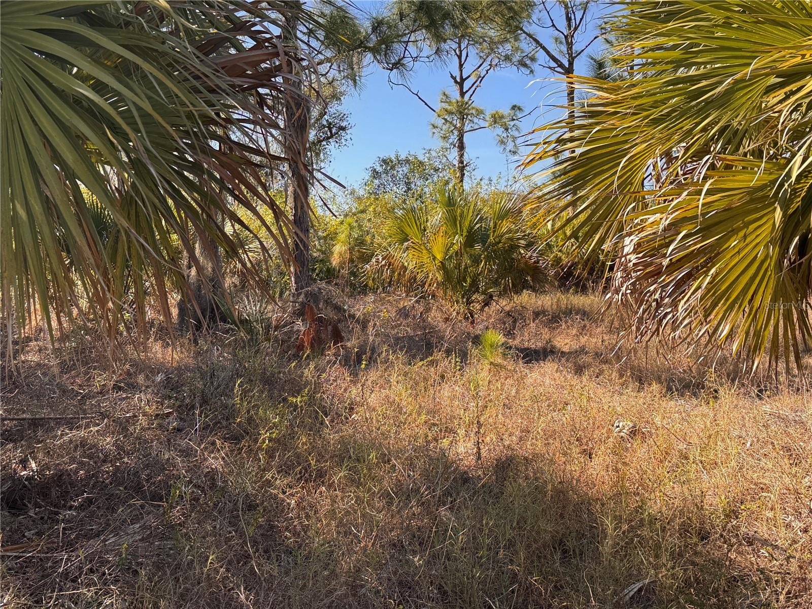 151 BAMBOO DR