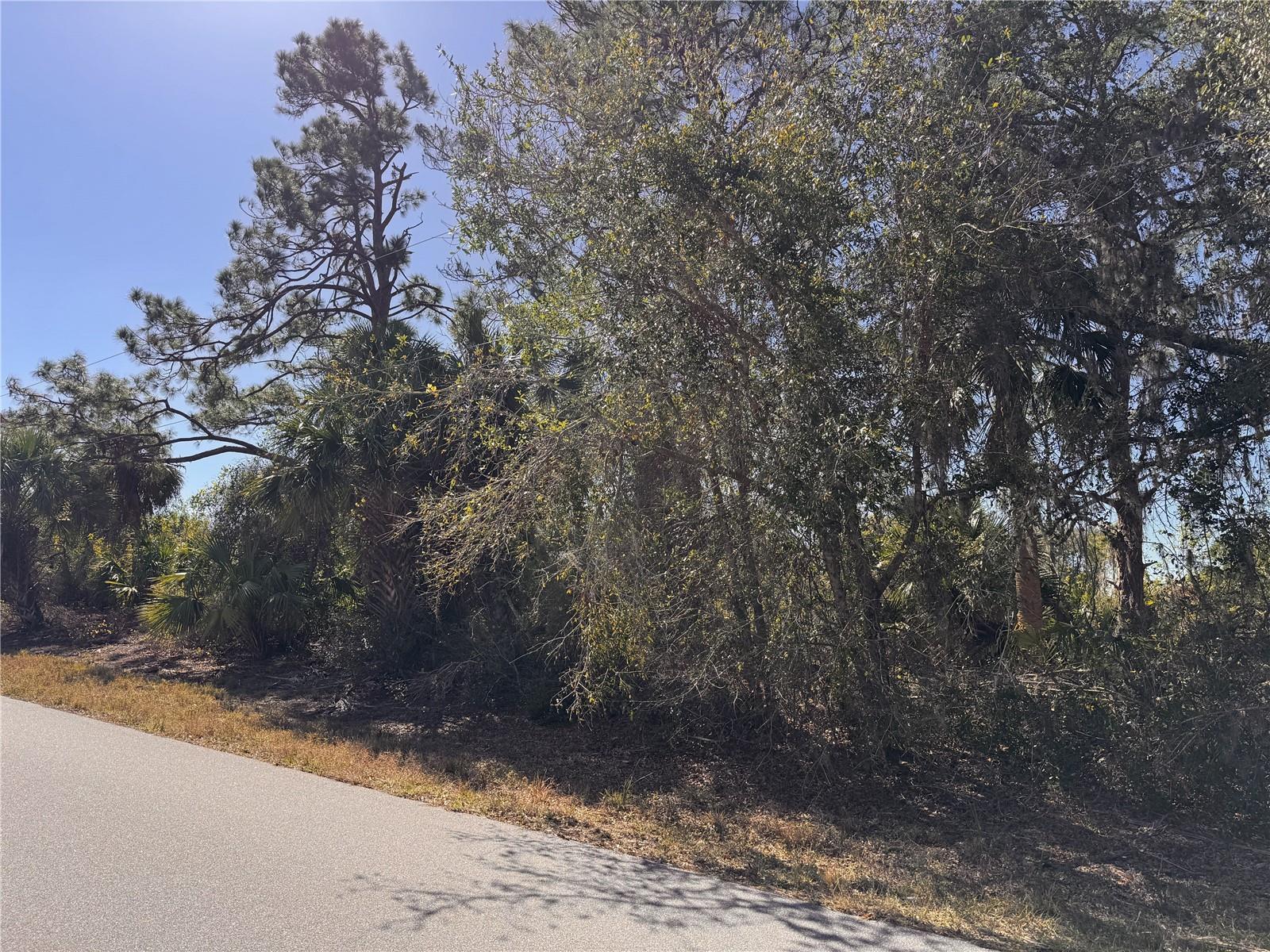 151 BAMBOO DR