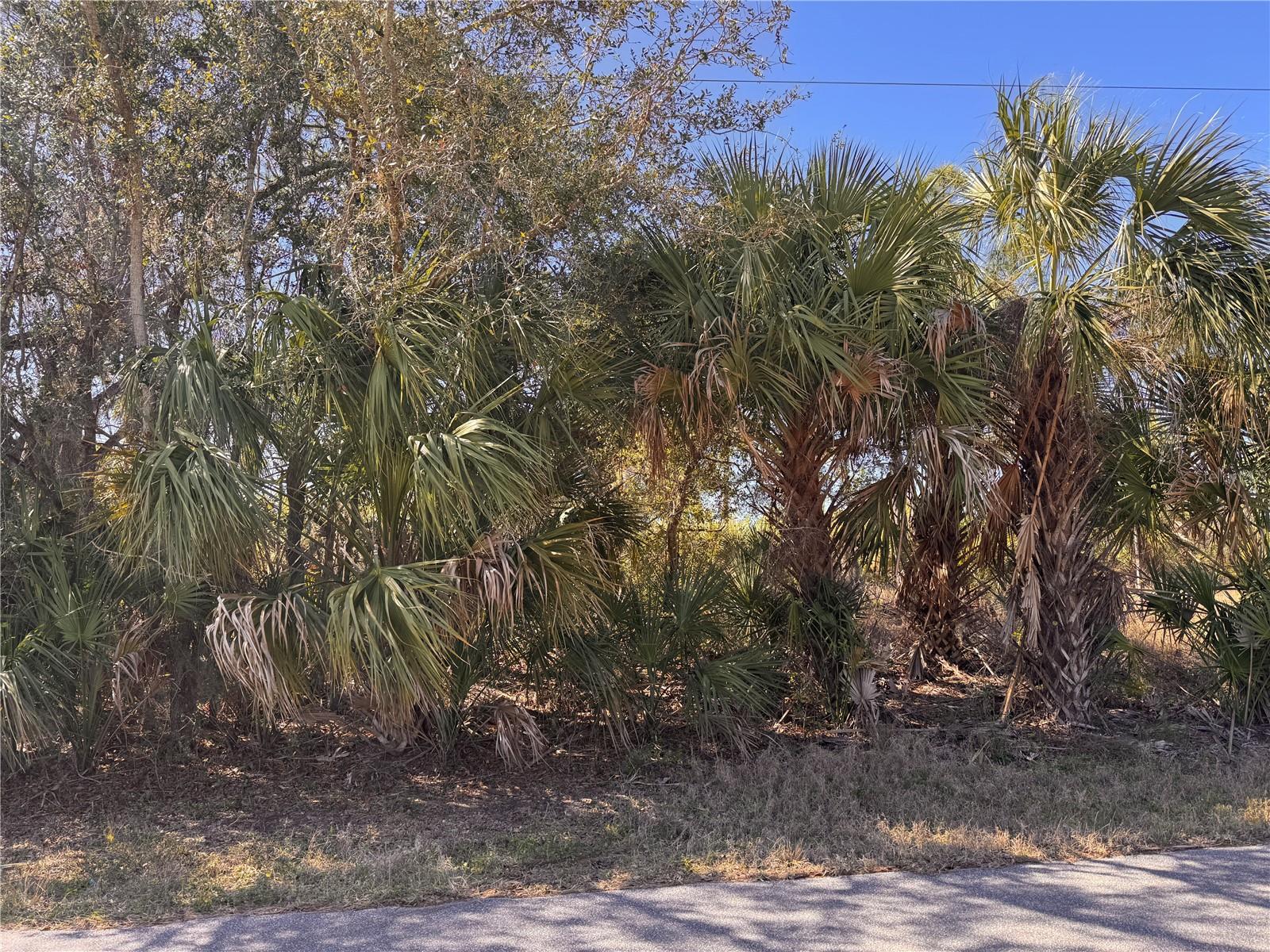 151 BAMBOO DR