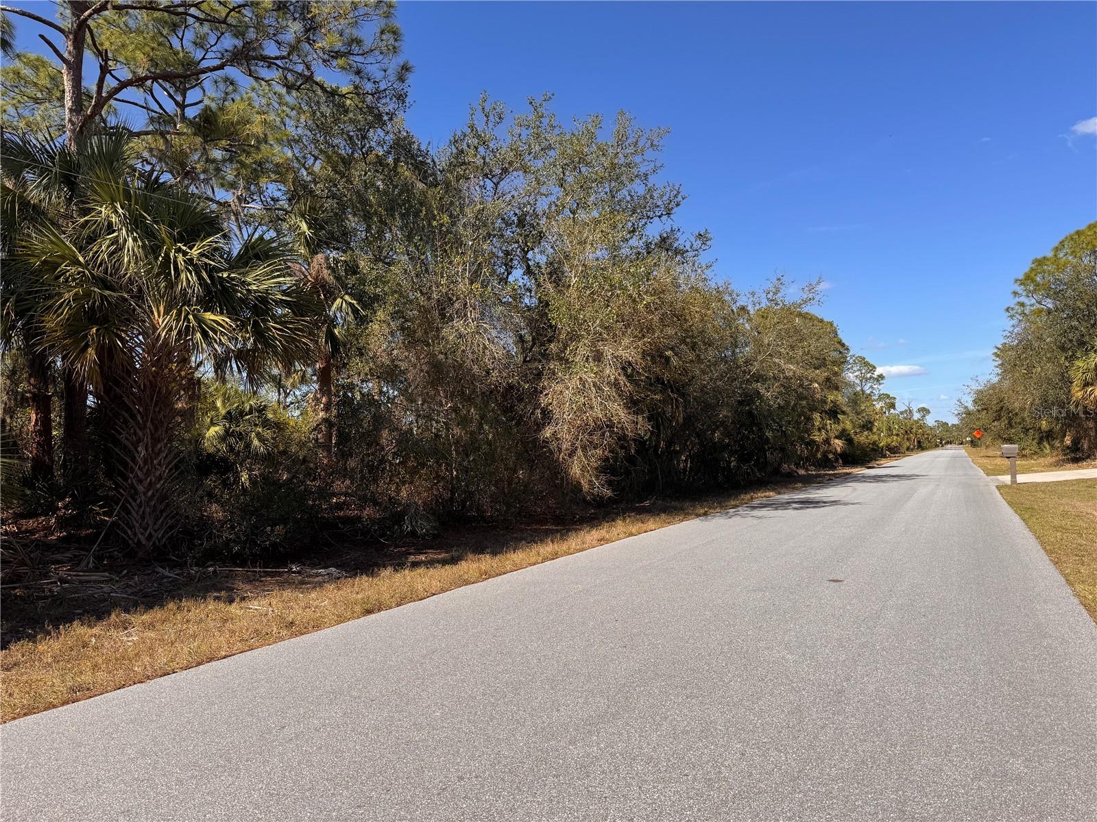 151 BAMBOO DR