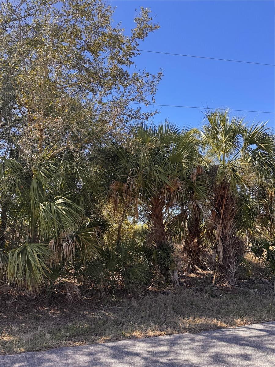 151 BAMBOO DR
