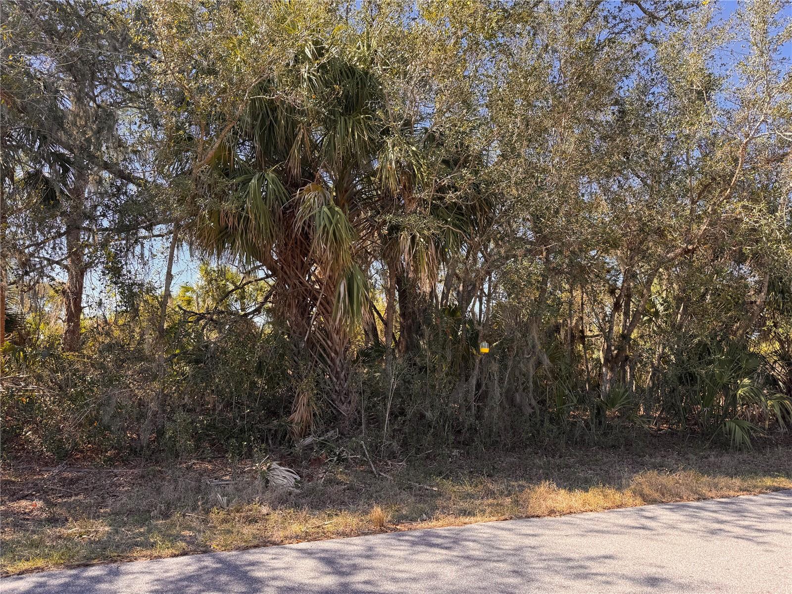 151 BAMBOO DR