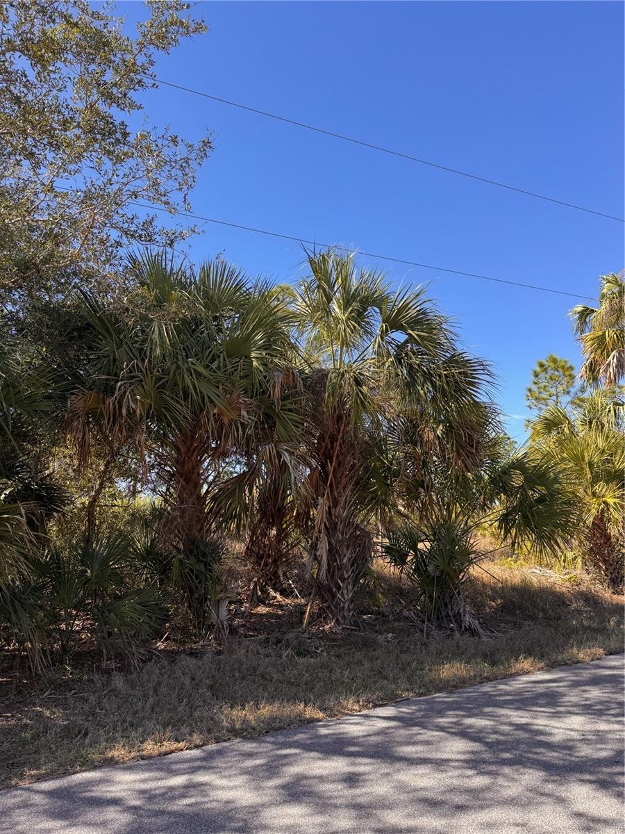 151 BAMBOO DR
