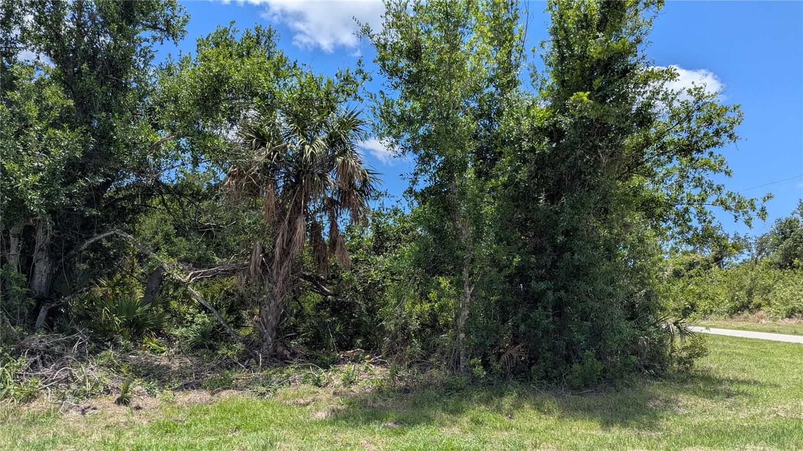 10017 COCOA BEACH ST