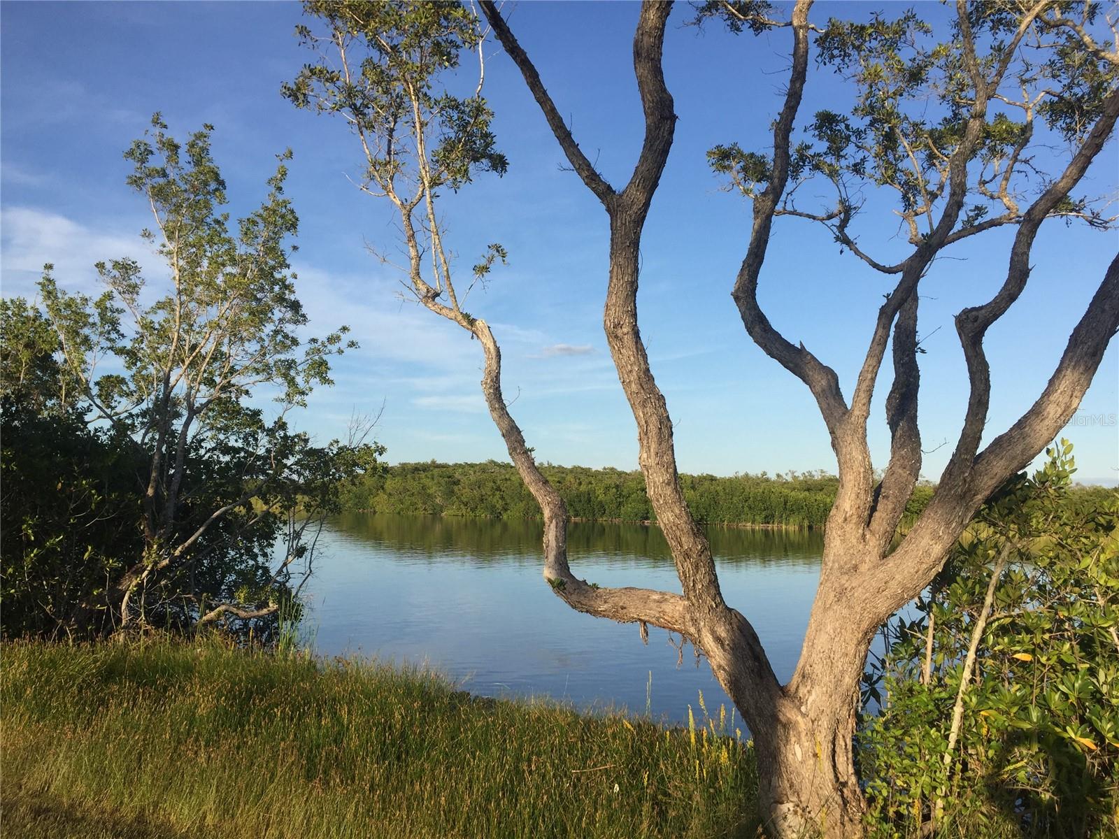PORT CHARLOTTE