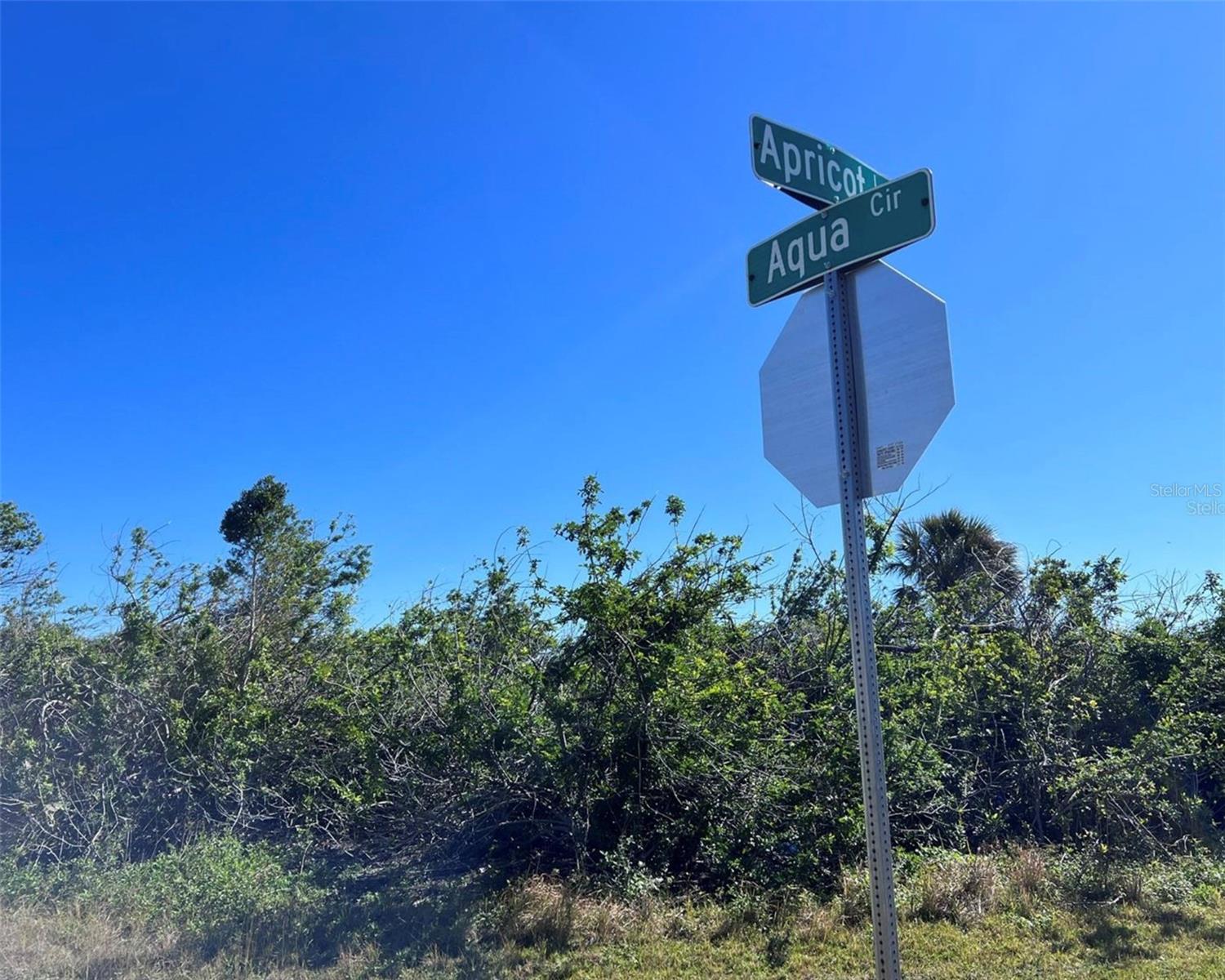15531 AQUA CIR