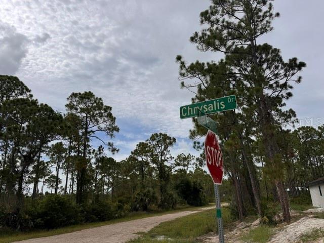 27430 CHRYSALIS DR