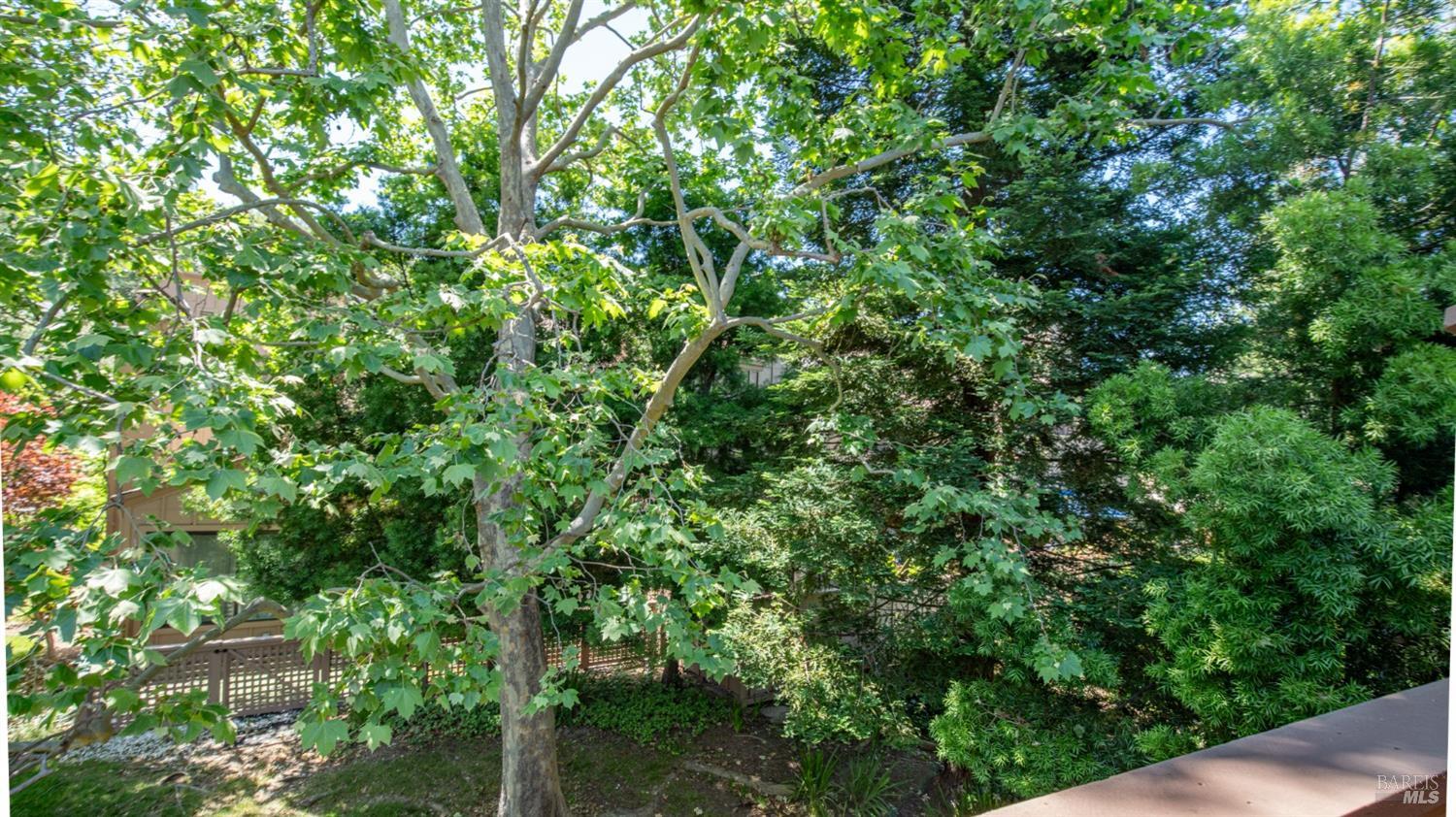 17 Prairie Falcon Drive