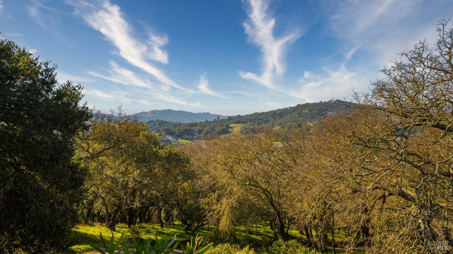 20 Oak Ridge Terrace