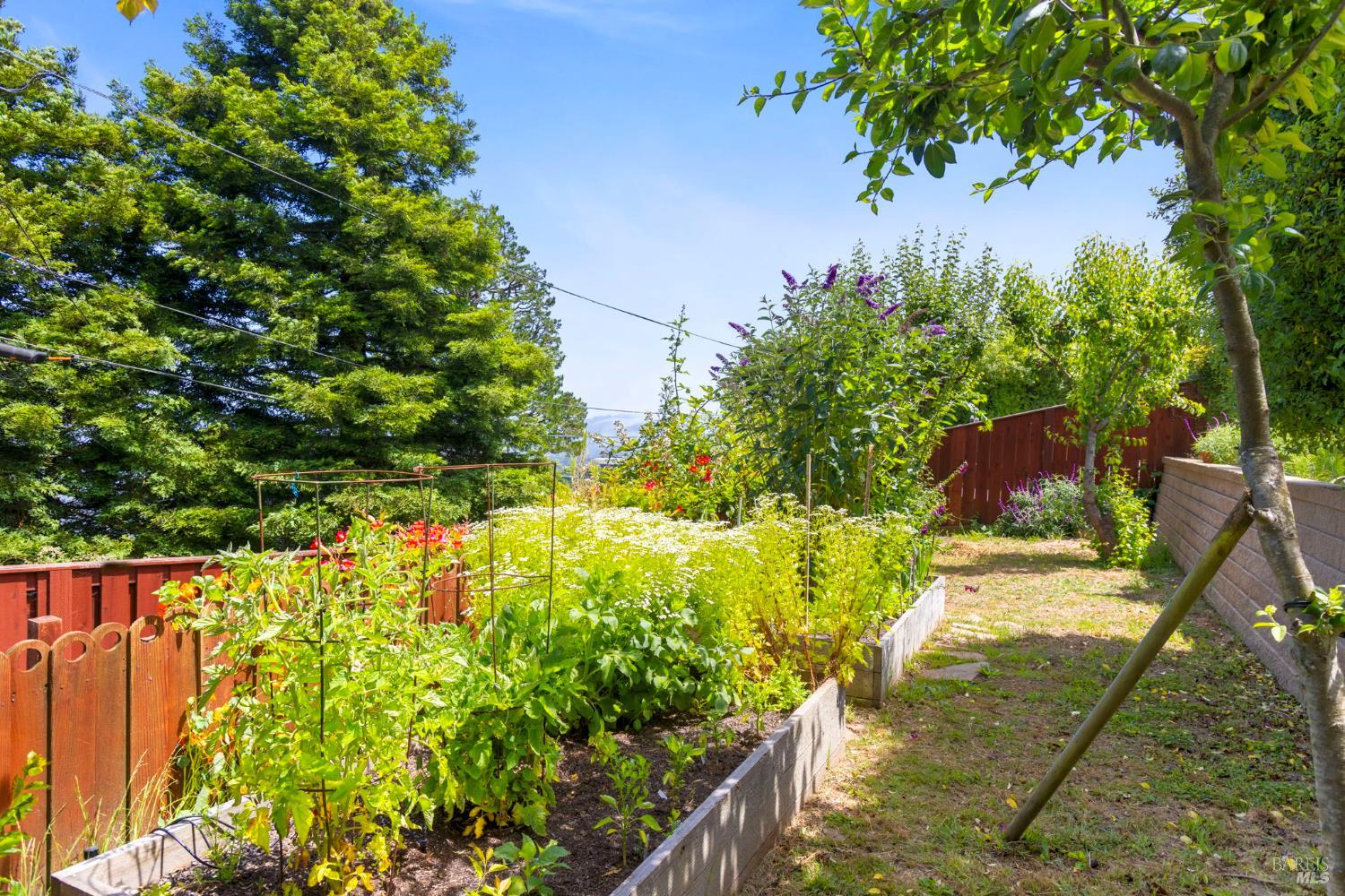 390 Panoramic Highway