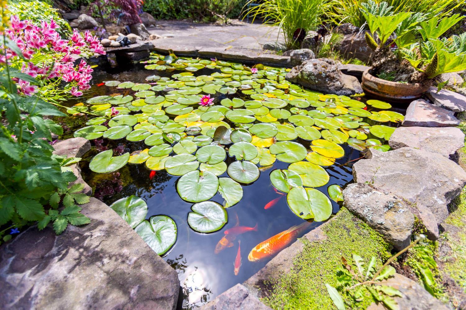 390 Panoramic Highway