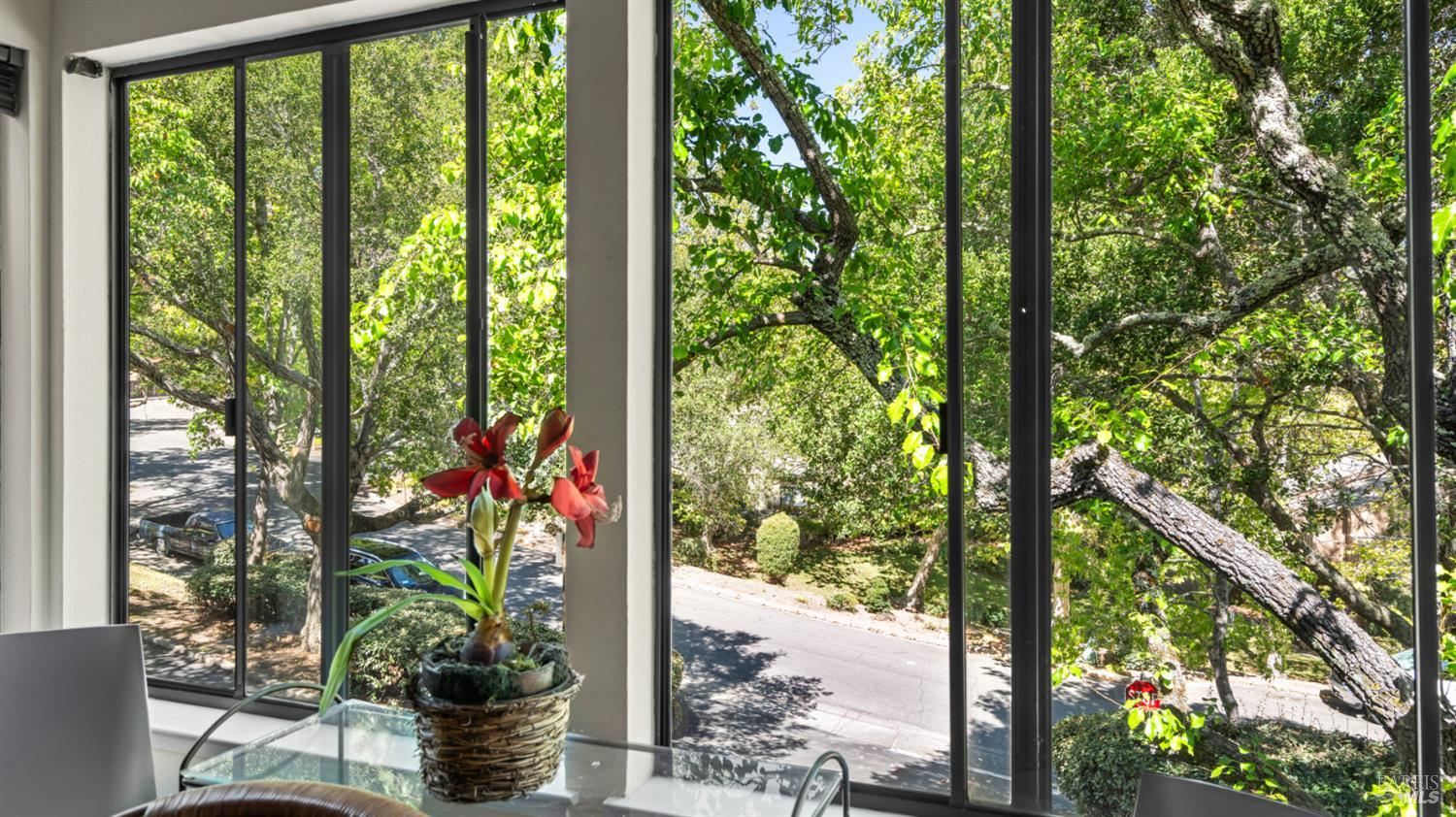 16 Elegant Tern Road