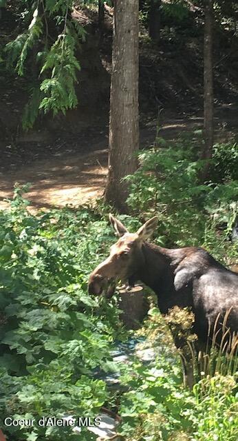 12080 E TROUT POND RD