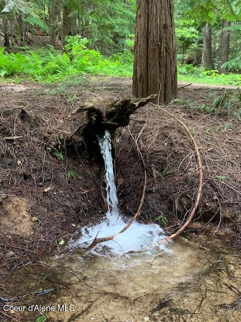 12080 E TROUT POND RD