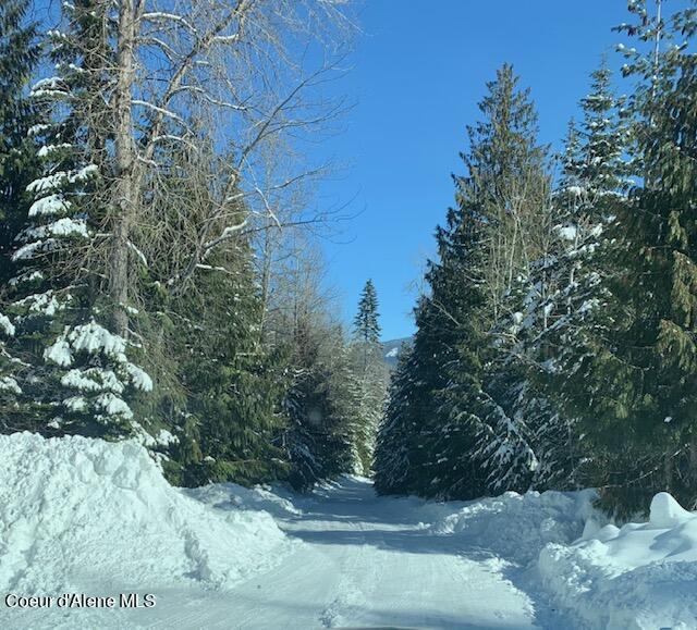 12080 E TROUT POND RD