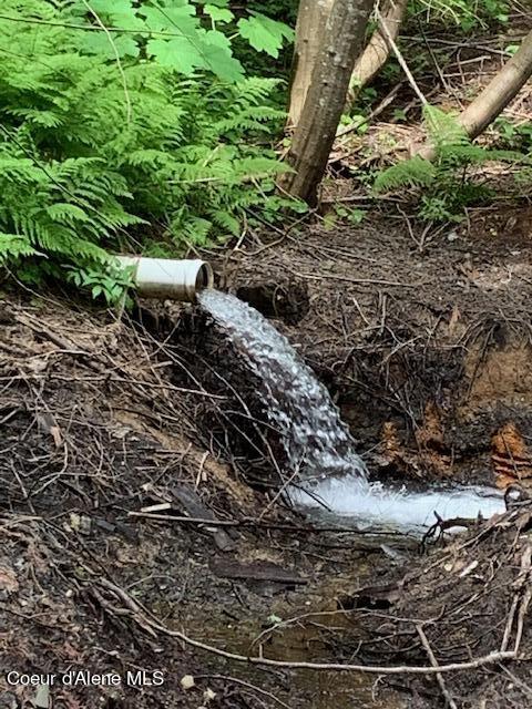 12080 E TROUT POND RD