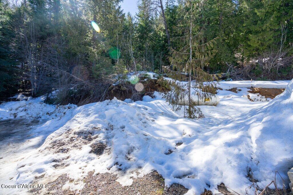 12080 E TROUT POND RD