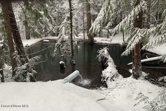 12080 E TROUT POND RD