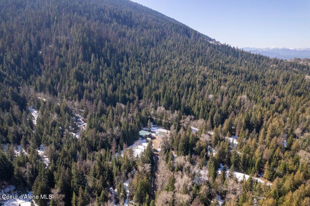 12080 E TROUT POND RD