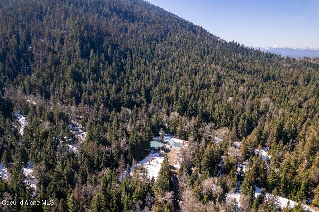 12080 E TROUT POND RD