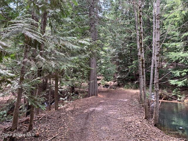 12080 E TROUT POND RD