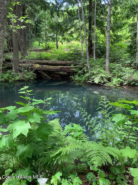 12080 E TROUT POND RD