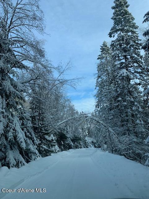 12080 E TROUT POND RD