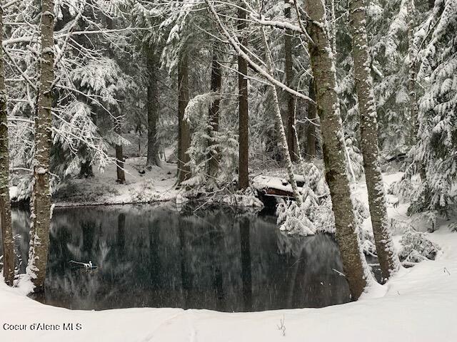 12080 E TROUT POND RD