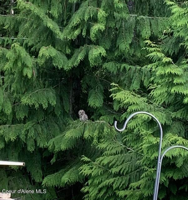 12080 E TROUT POND RD