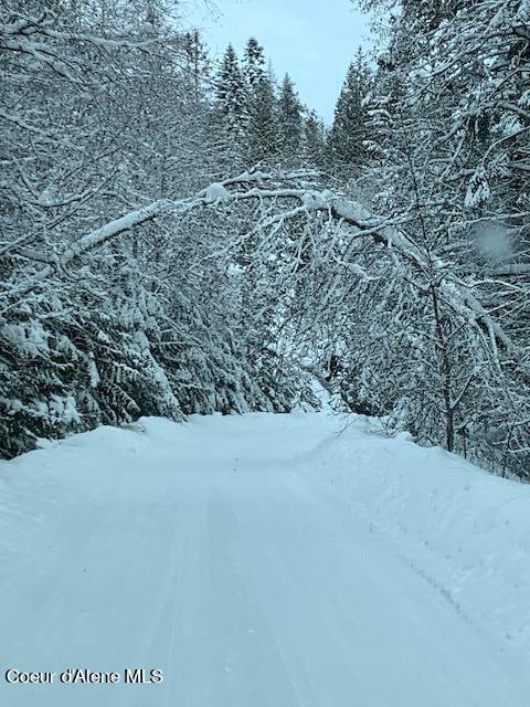 12080 E TROUT POND RD