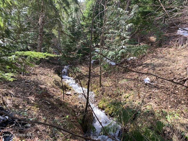 12080 E TROUT POND RD