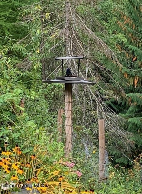 12080 E TROUT POND RD